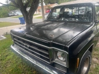 1977 Chevrolet C10 for sale in Michigan (ID-133208)