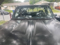 1977 Chevrolet C10 for sale in Michigan (ID-133208)