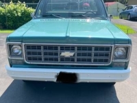 1977 Chevrolet C10 for sale in Michigan (ID-134466)