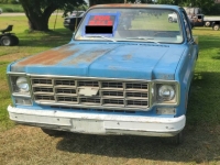1977 Chevrolet C10 for sale in Michigan (ID-145841)