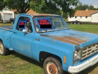 1977 Chevrolet C10 for sale in Michigan (ID-145841)