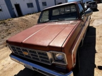 1977 Chevrolet C20 for sale in Michigan (ID-145109)