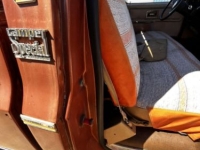 1977 Chevrolet C20 for sale in Michigan (ID-145109)