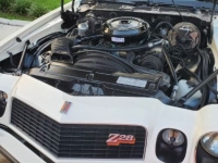 1977 Chevrolet Camaro for sale in Michigan (ID-109148)