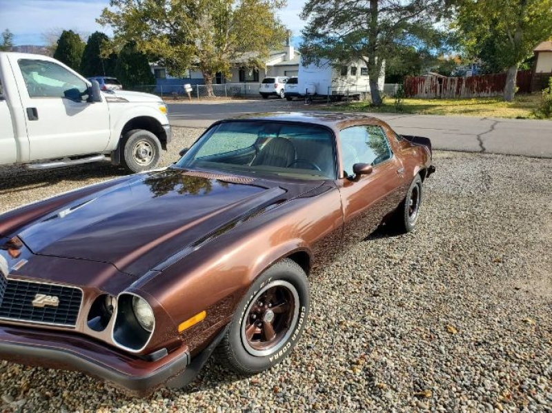 1977 Chevrolet Camaro for sale in Michigan (ID-109390)