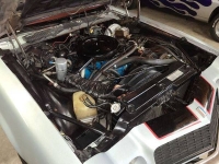 1977 Chevrolet Camaro for sale in Michigan (ID-123044)