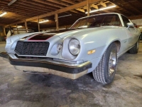 1977 Chevrolet Camaro for sale in Michigan (ID-123044)