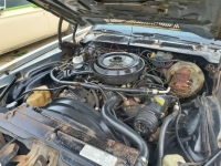 1977 Chevrolet Camaro for sale in Michigan (ID-164218)