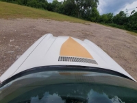 1977 Chevrolet Camaro for sale in Michigan (ID-164218)