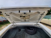 1977 Chevrolet Camaro for sale in Michigan (ID-164218)