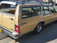 1977 Chevrolet Caprice for sale in Michigan (ID-122009)