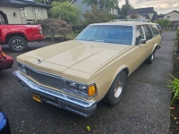 1977 Chevrolet Caprice for sale in Michigan (ID-122009)