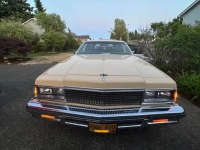 1977 Chevrolet Caprice for sale in Michigan (ID-122009)