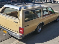 1977 Chevrolet Caprice for sale in Michigan (ID-122009)