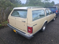 1977 Chevrolet Caprice for sale in Michigan (ID-122009)