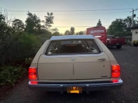 1977 Chevrolet Caprice for sale in Michigan (ID-122009)