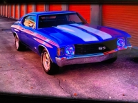 1977 Chevrolet Chevelle for sale in Michigan (ID-130766)