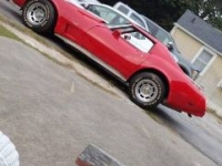 1977 Chevrolet Corvette for sale in Michigan (ID-107359)