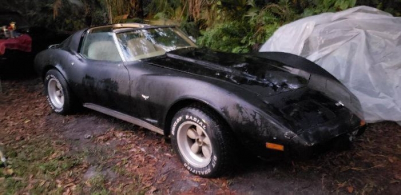 1977 Chevrolet Corvette for sale in Michigan (ID-109794)