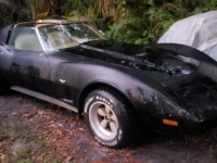 1977 Chevrolet Corvette for sale in Michigan (ID-109794)