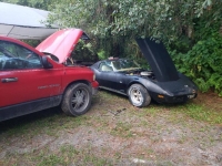 1977 Chevrolet Corvette for sale in Michigan (ID-109794)