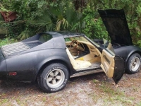 1977 Chevrolet Corvette for sale in Michigan (ID-109794)