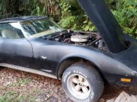 1977 Chevrolet Corvette for sale in Michigan (ID-109794)