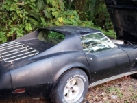 1977 Chevrolet Corvette for sale in Michigan (ID-109794)