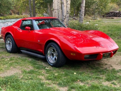 1977 Chevrolet Corvette for sale
