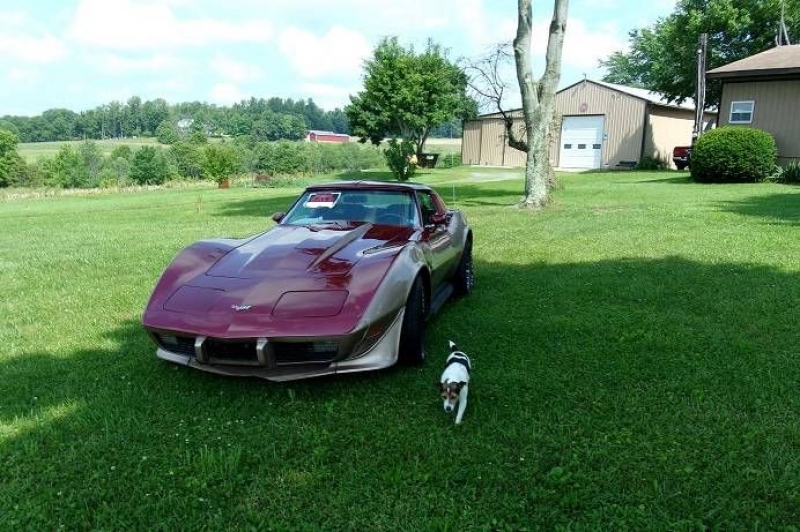 1977 Chevrolet Corvette for sale in Michigan (ID-114990)