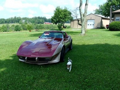 1977 Chevrolet Corvette for sale