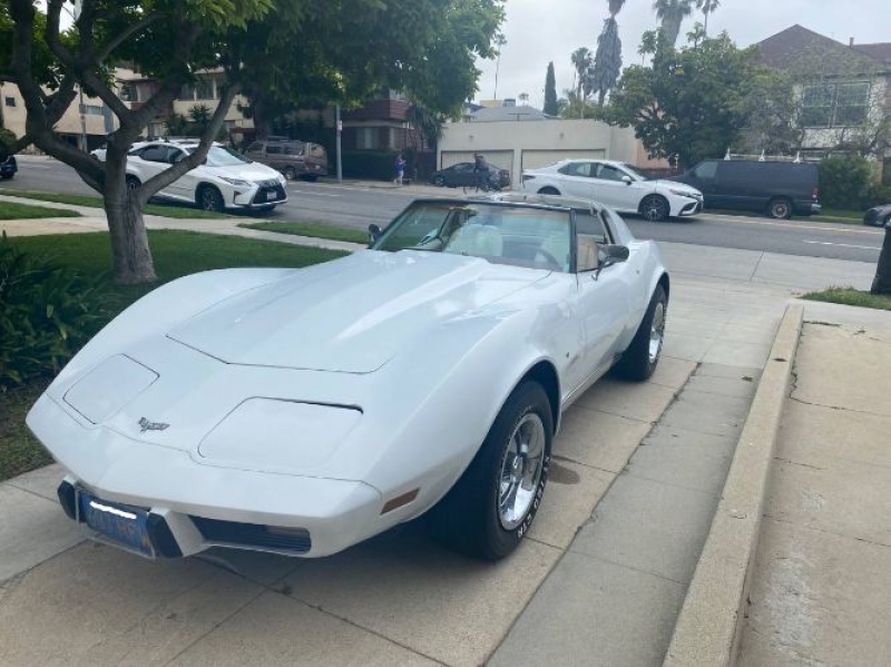 1977 Chevrolet Corvette for sale in Michigan (ID-116622)