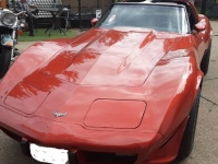 1977 Chevrolet Corvette for sale in Michigan (ID-117476)