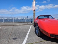 1977 Chevrolet Corvette for sale in Michigan (ID-120006)