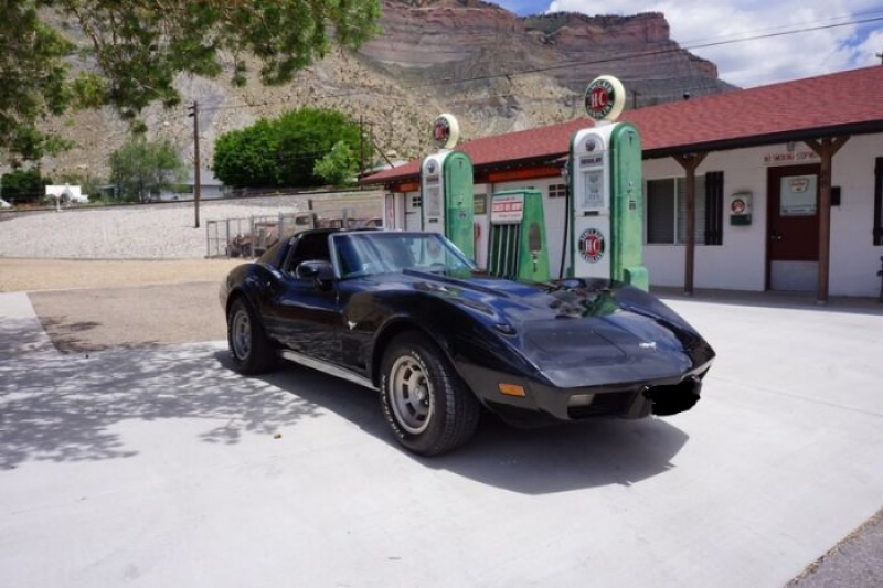 1977 Chevrolet Corvette for sale in Michigan (ID-121560)