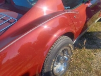 1977 Chevrolet Corvette for sale in Michigan (ID-123582)