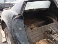 1977 Chevrolet Corvette for sale in Michigan (ID-124861)