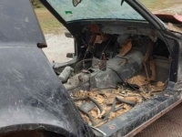 1977 Chevrolet Corvette for sale in Michigan (ID-124861)