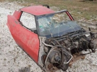 1977 Chevrolet Corvette for sale in Michigan (ID-124861)