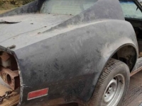 1977 Chevrolet Corvette for sale in Michigan (ID-124861)