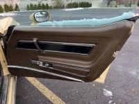 1977 Chevrolet Corvette for sale in Michigan (ID-125801)