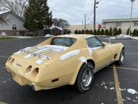 1977 Chevrolet Corvette for sale in Michigan (ID-125801)