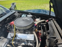 1977 Chevrolet Corvette for sale in Michigan (ID-131315)