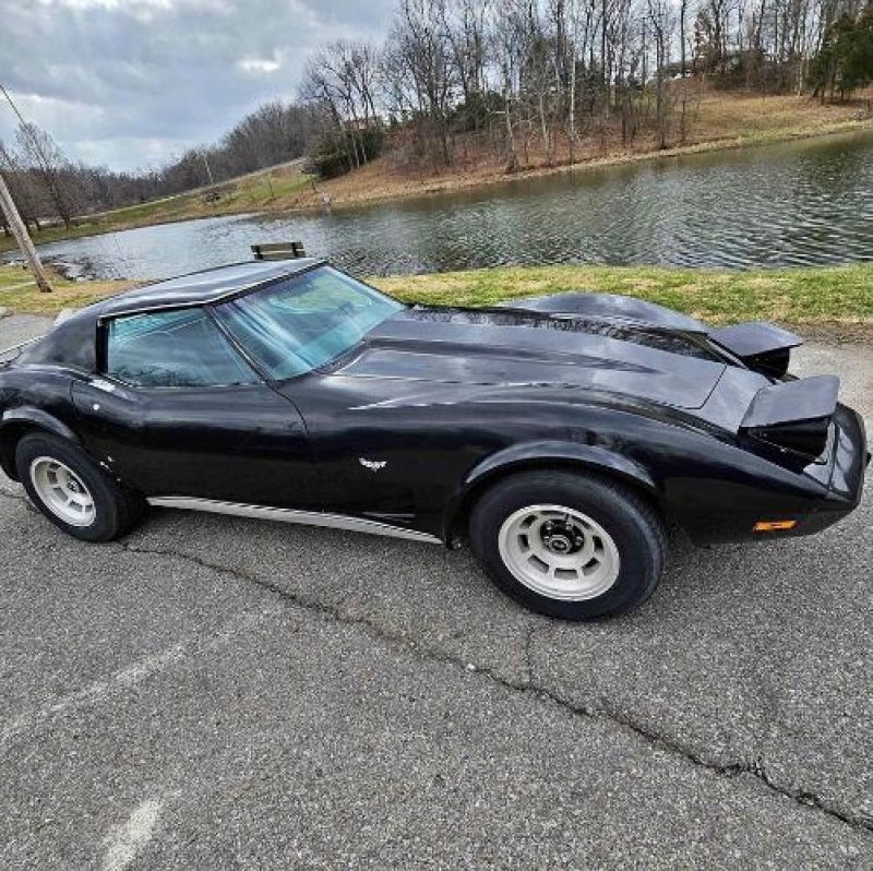 1977 Chevrolet Corvette for sale in Michigan (ID-132744)