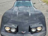 1977 Chevrolet Corvette for sale in Michigan (ID-132744)