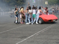 1977 Chevrolet Corvette for sale (ID-98988)