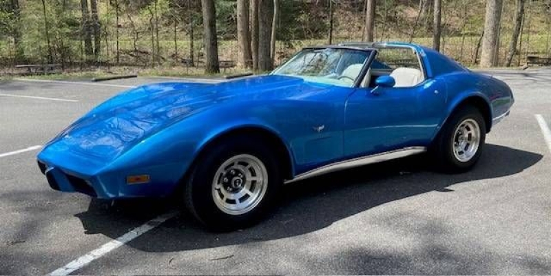 1977 Chevrolet Corvette for sale in Michigan (ID-135476)