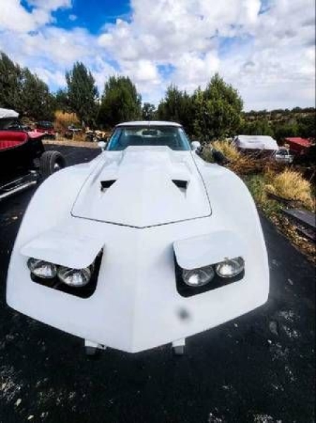 1977 Chevrolet Corvette for sale in Michigan (ID-136600) 1977 Chevrolet Corvette for sale in Michigan (ID-136600)