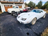 1977 Chevrolet Corvette for sale in Michigan (ID-136600)