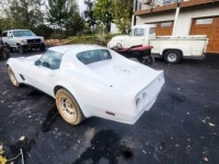 1977 Chevrolet Corvette for sale in Michigan (ID-136600)